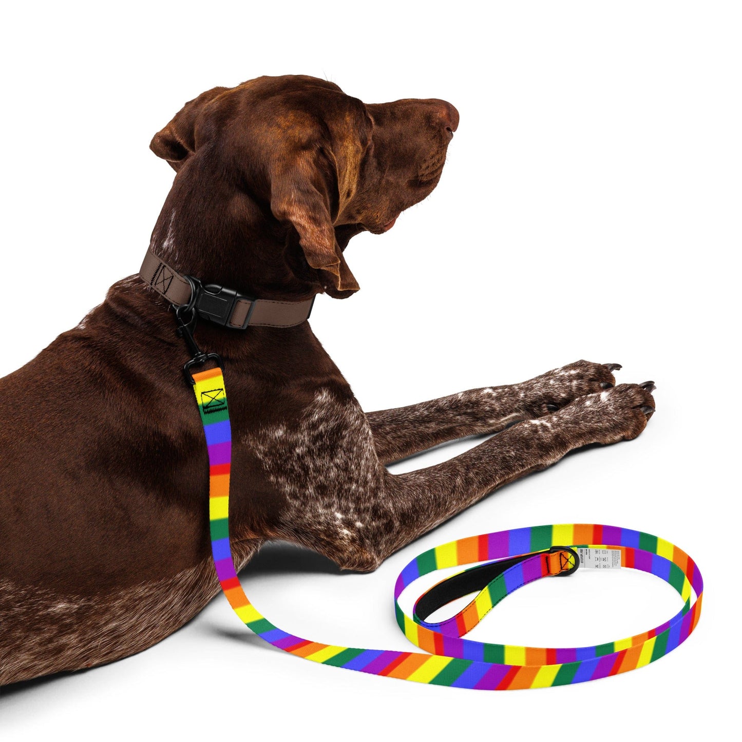 Rainbow Flag Gay Pride Colors LGBTQ+ Pet Leash – Vibrant Pride Accessories for Dogs & Cats | LGBTQ Pet Pride Parade Gear