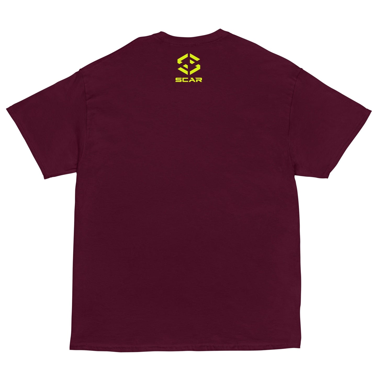 Texas State Flag T-shirt
