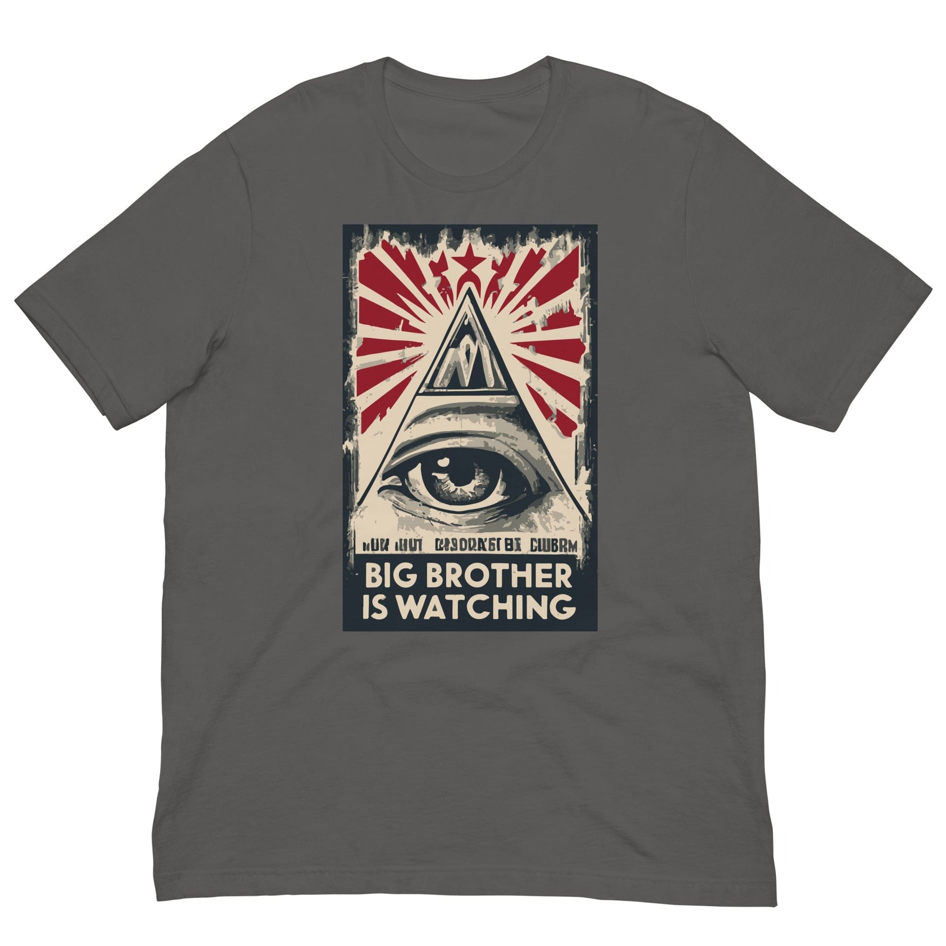 Big Brother is watching T-shirt Asphalt / S