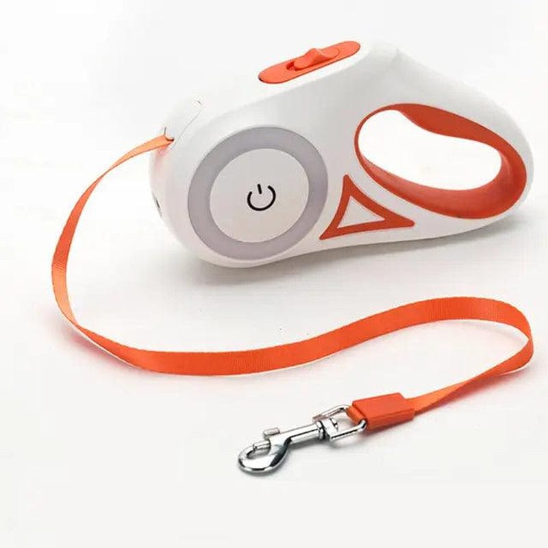 Night Walk Safety: LED Lights Dog Leash Orange / 3 Meter