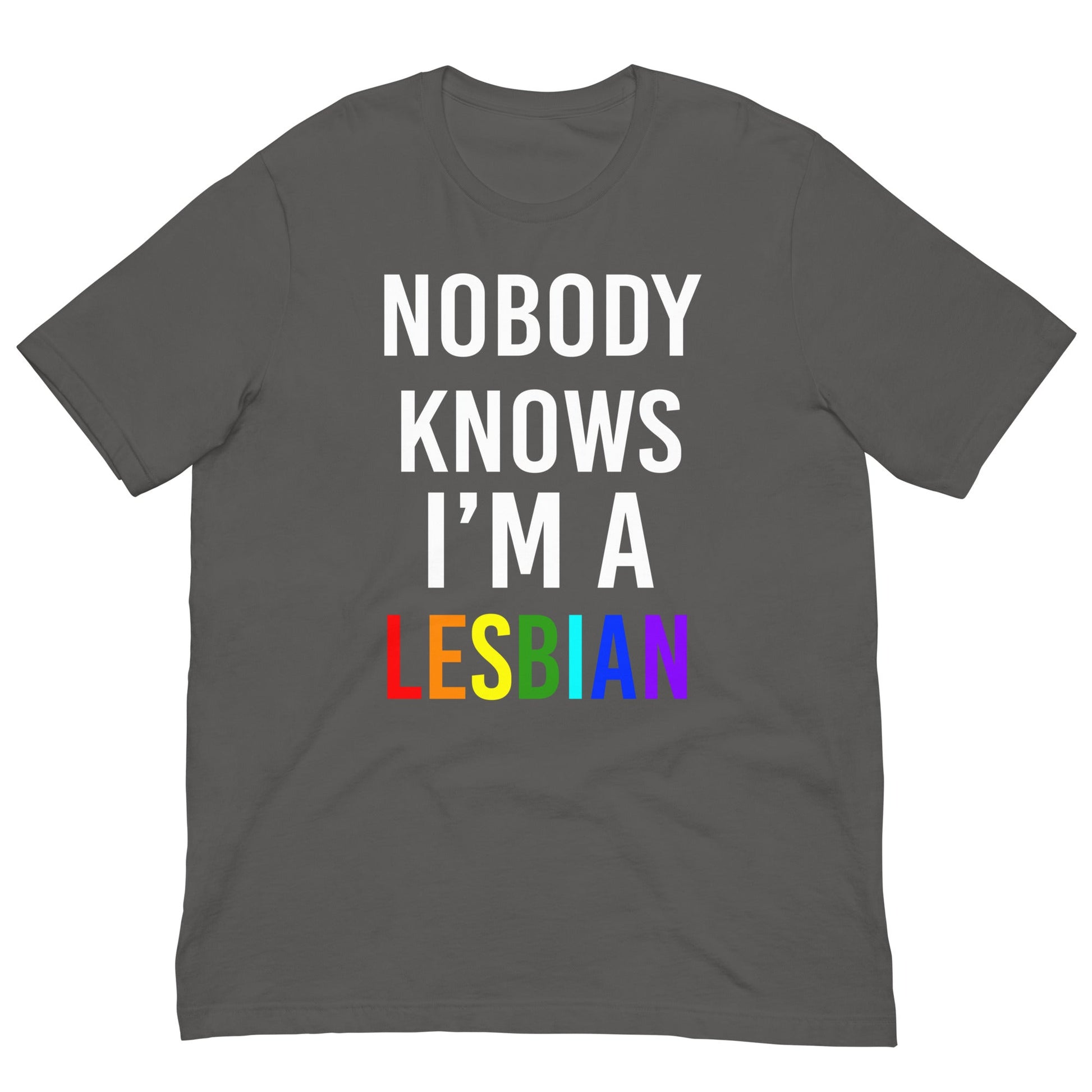 Nobody Knows I am a Lesbian T-shirt Asphalt / S