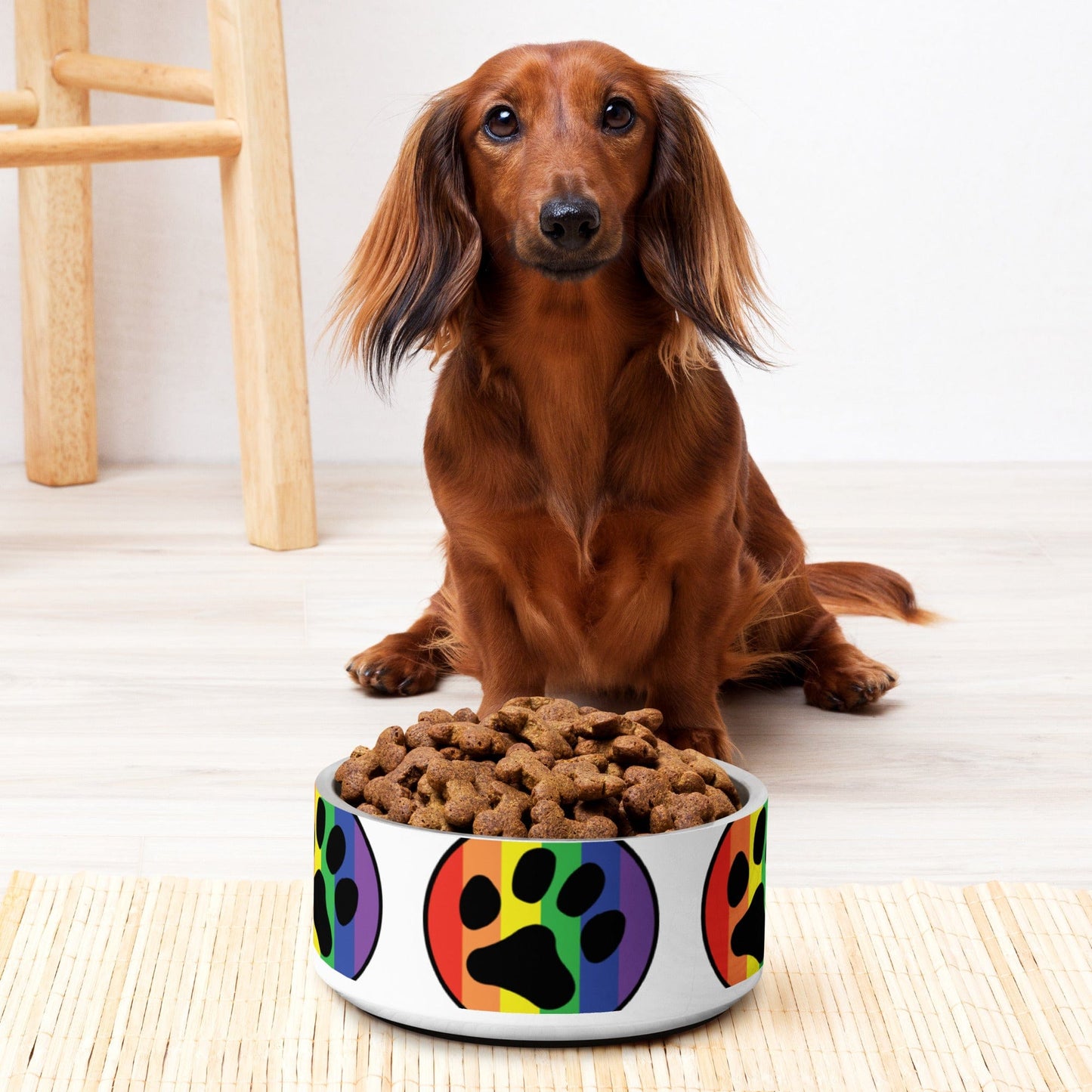 Pride LGBTQ Rainbow flag Pet bowl