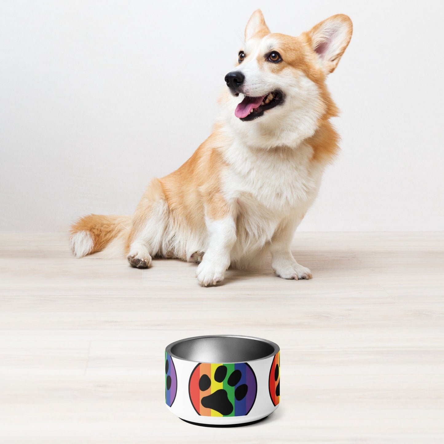 Pride LGBTQ Rainbow flag Pet bowl