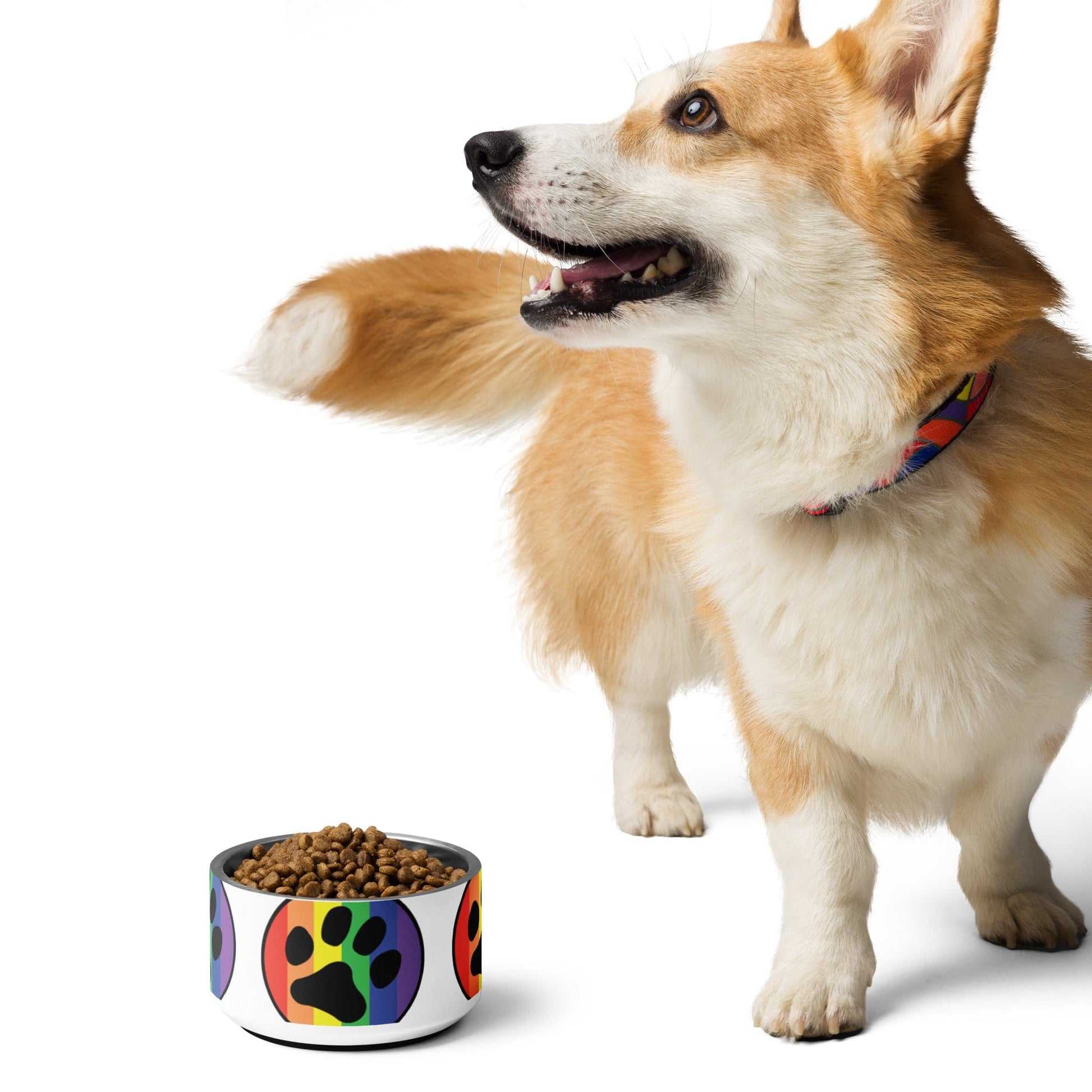 Pride LGBTQ Rainbow flag Pet bowl