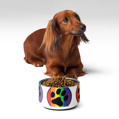 Pride LGBTQ Rainbow flag Pet bowl