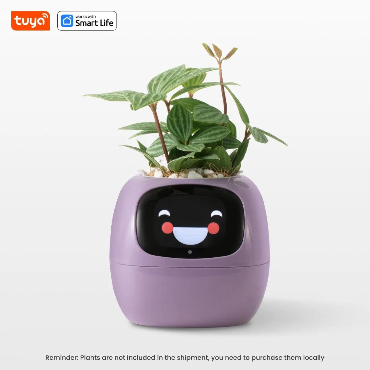 Tuya Ivy Smart Planter,Endless Fun over 49 Rich Expressions,7 Smart Sensors,Ai Chips Make Raising Plants Easy and Fun Purple