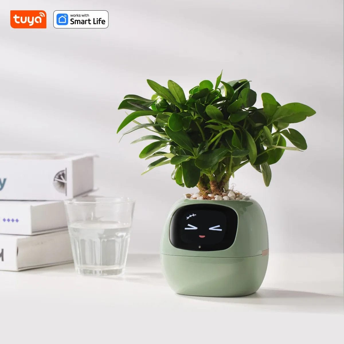 Tuya Ivy Smart Planter,Endless Fun over 49 Rich Expressions,7 Smart Sensors,Ai Chips Make Raising Plants Easy and Fun Lightgreen